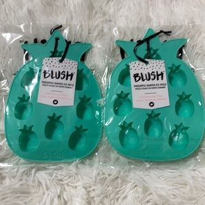 2 Blush Pineapple Shaped Ice Mold Silicone